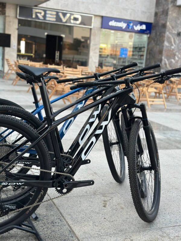 OW MT21 Full Carbon hard tail MTB bike