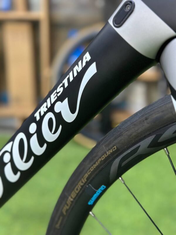 m4ryat.jpg New Wilier GTR Disc Full Carbon Road bike